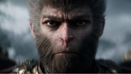 fortune tiger promo code 2026